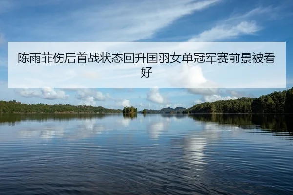 陈雨菲伤后首战状态回升国羽女单冠军赛前景被看好